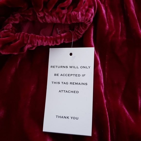 For Love And Lemons Raspberry Velvet Mini Dress | SMALL - Picture 8 of 9